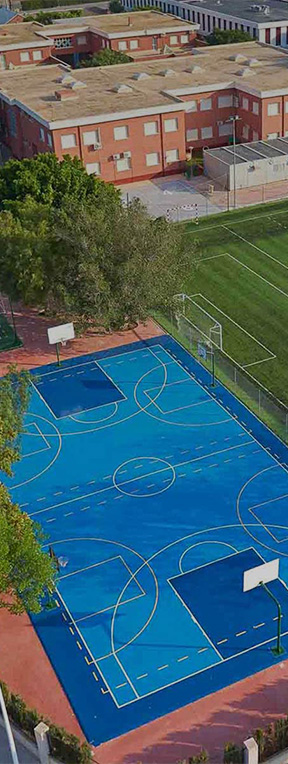 areas-de-actividad-deportivo Áreas de actividad deportiva